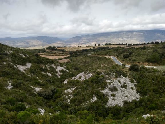 Provencelona