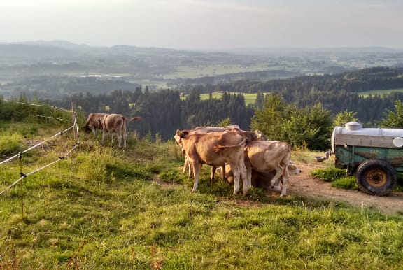 Allgäu
