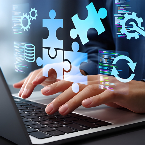Software development and integration