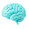 Domain Understanding