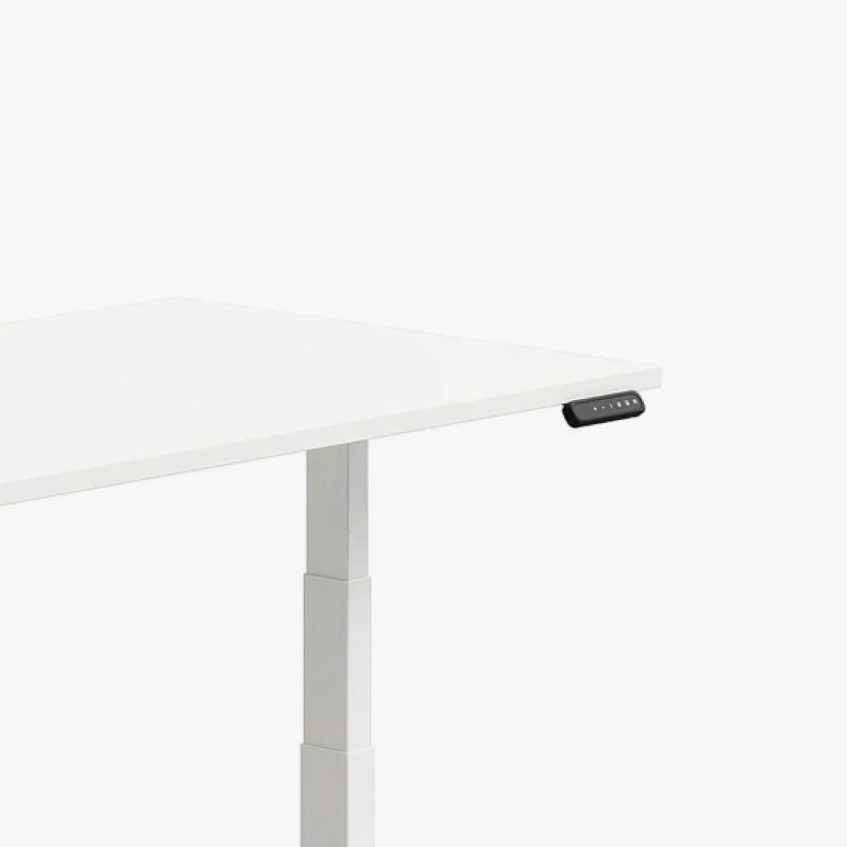 PurpleArk Electric Sit-Stand Desk