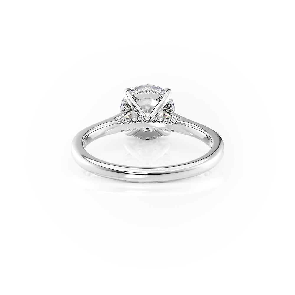 platinum hidden halo cathedral & diamond bridge engagement ring with round shape diamond