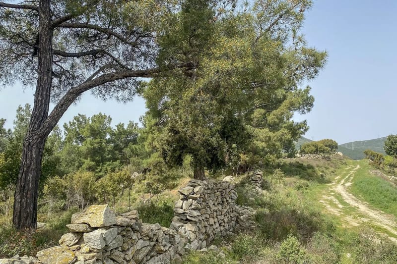 Στιγμιότυπο από Μακρα Τειχη Καβαλας: Οι Πετρινοι Φρουροι Τησ Χριστουπολεως