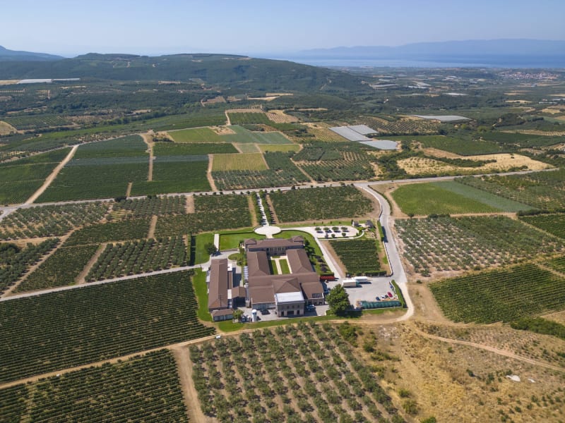 Discover: Ktima Biblia Chora: The Ancient Land of Wine in Pangaion