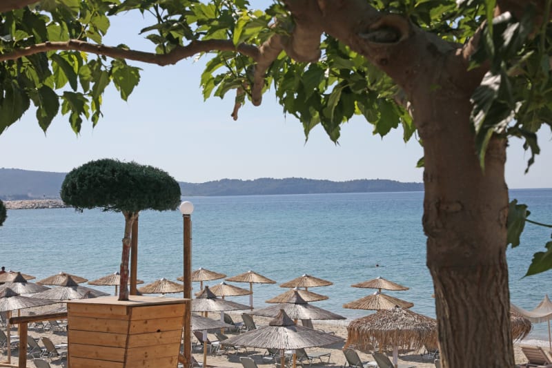 Στιγμιότυπο από Η ΜΕΓΑΛΗ ΠΑΡΑΛΙΑ ΤΩΝ ΛΙΜΕΝΑΡΙΩΝ: ΠΟΙΚΙΛΙΑ, ΑΝΕΣΗ και ΘΕΑ ΣΤΟ ΑΓΙΟ ΟΡΟΣ
