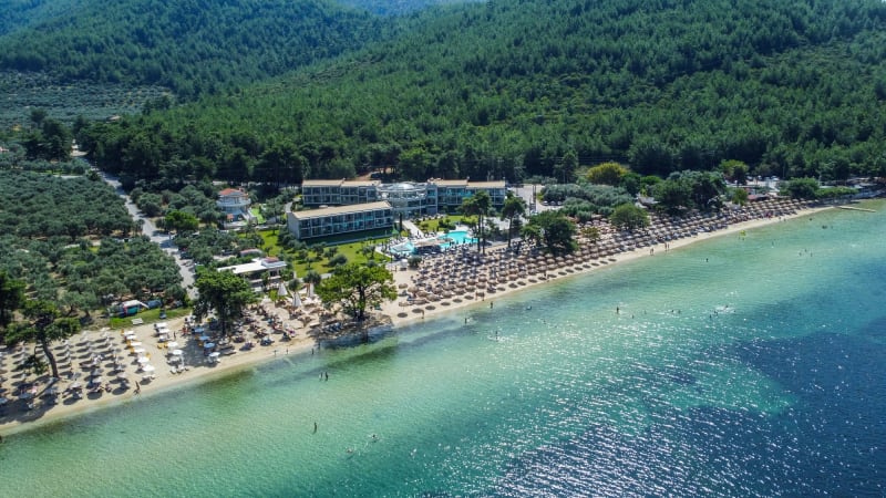 Στιγμιότυπο από ΠΑΡΑΛΙΑ ΠΑΧΥΣ: ΦΥΣΙΚΗ ΣΚΙΑ ΚΑΙ ΧΡΥΣΗ ΑΜΜΟΣ ΣΤΗ ΘΑΣΟ