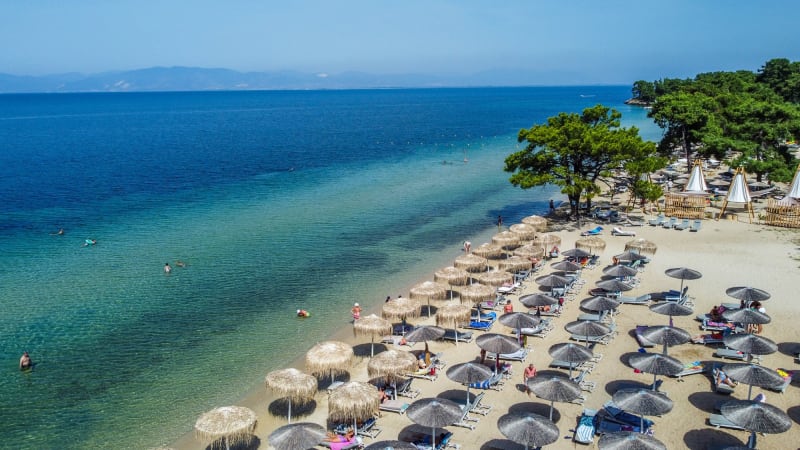 Στιγμιότυπο από ΠΑΡΑΛΙΑ ΠΑΧΥΣ: ΦΥΣΙΚΗ ΣΚΙΑ ΚΑΙ ΧΡΥΣΗ ΑΜΜΟΣ ΣΤΗ ΘΑΣΟ