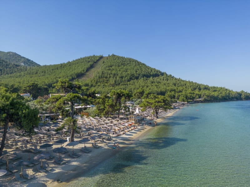 Στιγμιότυπο από ΠΑΡΑΛΙΑ ΠΑΧΥΣ: ΦΥΣΙΚΗ ΣΚΙΑ ΚΑΙ ΧΡΥΣΗ ΑΜΜΟΣ ΣΤΗ ΘΑΣΟ