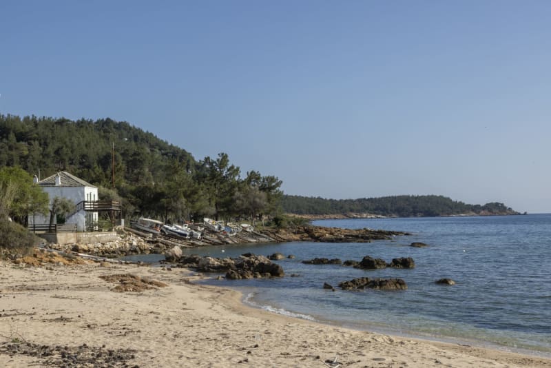Στιγμιότυπο από ΤΑΡΣΑΝΑΣ ΑΣΤΡΙΔΑΣ: ΕΝΑΣ ΚΡΥΦΟΣ ΘΗΣΑΥΡΟΣ
