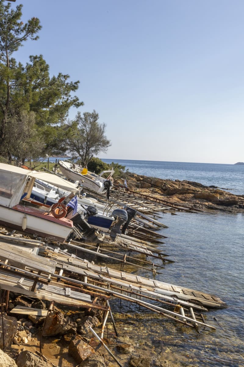 Στιγμιότυπο από ΤΑΡΣΑΝΑΣ ΑΣΤΡΙΔΑΣ: ΕΝΑΣ ΚΡΥΦΟΣ ΘΗΣΑΥΡΟΣ