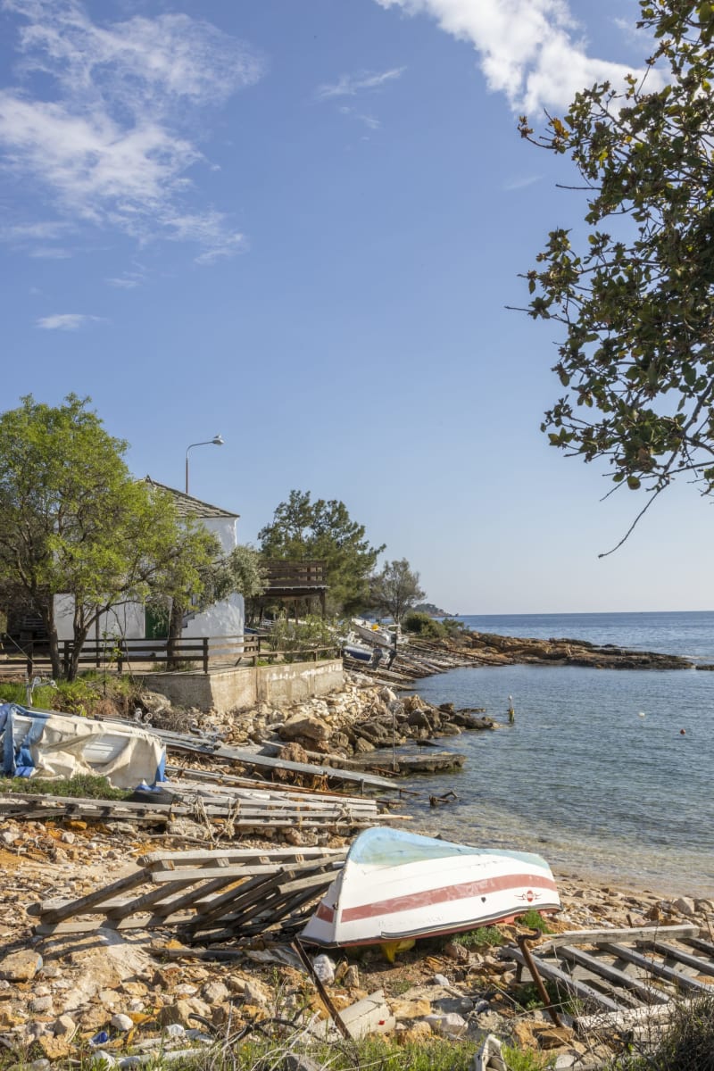 Στιγμιότυπο από ΤΑΡΣΑΝΑΣ ΑΣΤΡΙΔΑΣ: ΕΝΑΣ ΚΡΥΦΟΣ ΘΗΣΑΥΡΟΣ