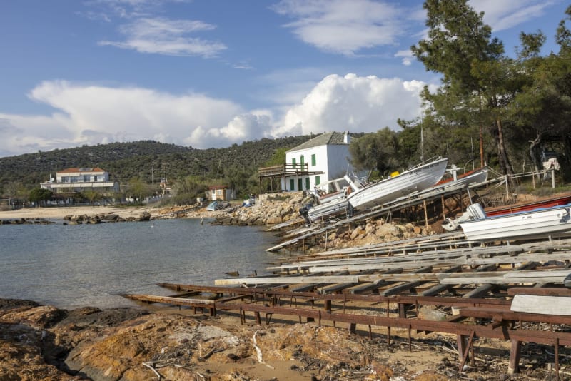 Στιγμιότυπο από ΤΑΡΣΑΝΑΣ ΑΣΤΡΙΔΑΣ: ΕΝΑΣ ΚΡΥΦΟΣ ΘΗΣΑΥΡΟΣ