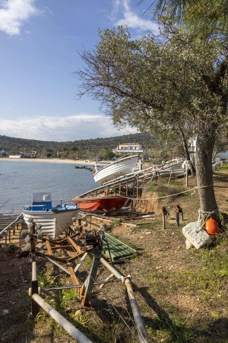 Στιγμιότυπο από ΤΑΡΣΑΝΑΣ ΑΣΤΡΙΔΑΣ: ΕΝΑΣ ΚΡΥΦΟΣ ΘΗΣΑΥΡΟΣ