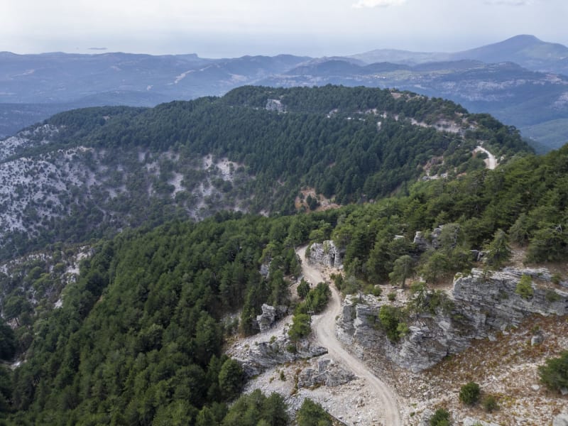 Στιγμιότυπο από ΟΡΟΣ ΥΨΑΡΙΟ: Ο ΠΡΑΣΙΝΟΣ ΦΡΟΥΡΟΣ