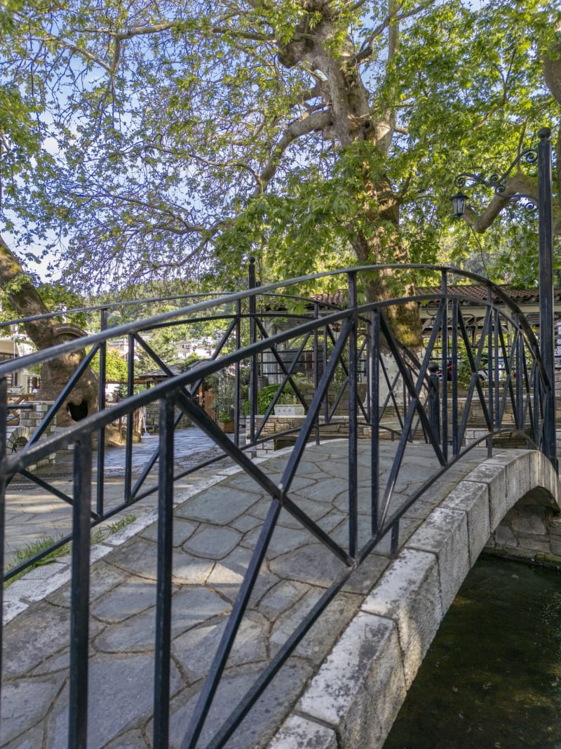 Στιγμιότυπο από ΧΩΡΙΟ ΠΑΝΑΓΙΑ: Η ΟΑΣΗ ΤΟΥ ΒΟΥΝΟΥ
