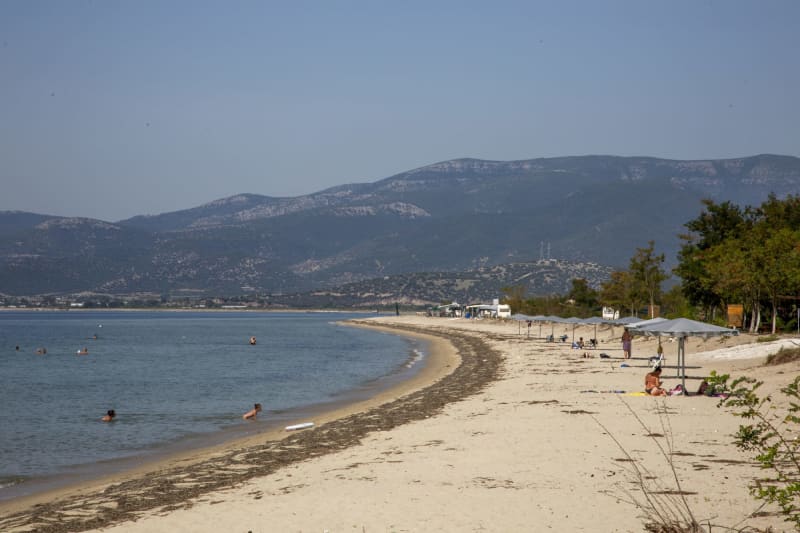 Στιγμιότυπο από ΠΑΡΑΛΙΑ ΤΙΜΑΡΙ: ΕΝΑΣ ΚΡΥΦΟΣ ΥΔΡΟΒΙΟΤΟΠΟΣ