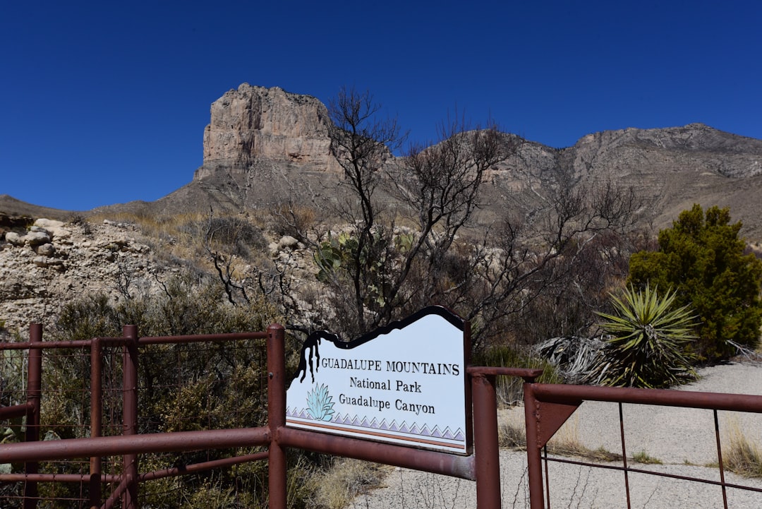 European National Parks: The Operational Reality for Group Tours