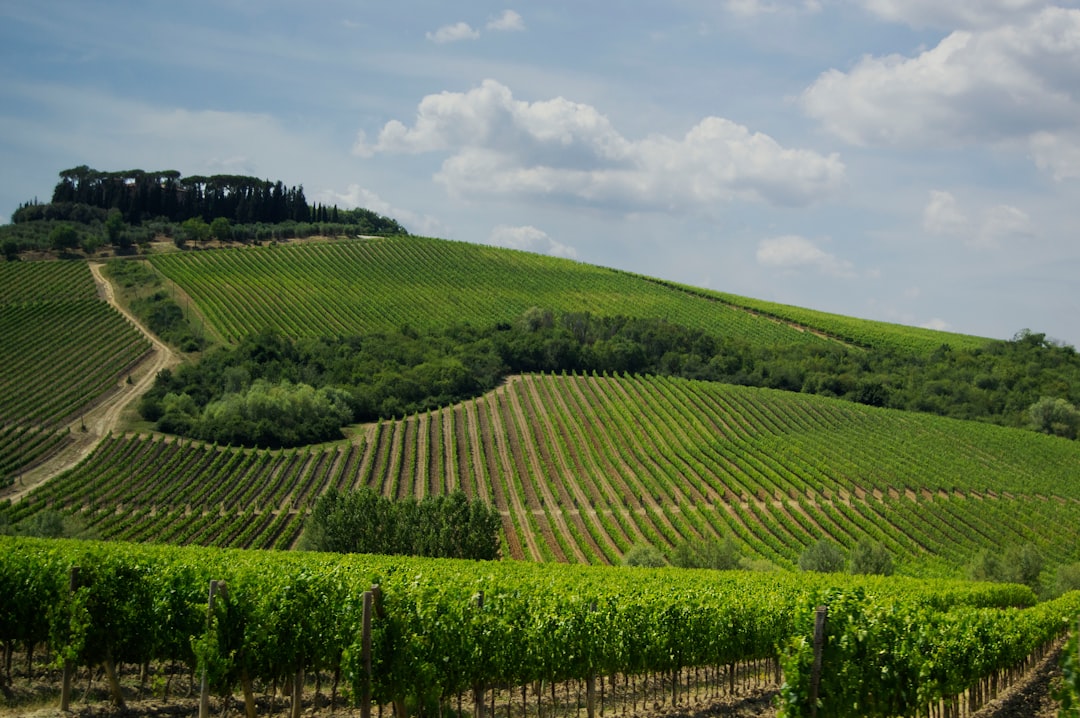 Wine Region Group Itineraries: Bordeaux, Tuscany, Douro Logistics