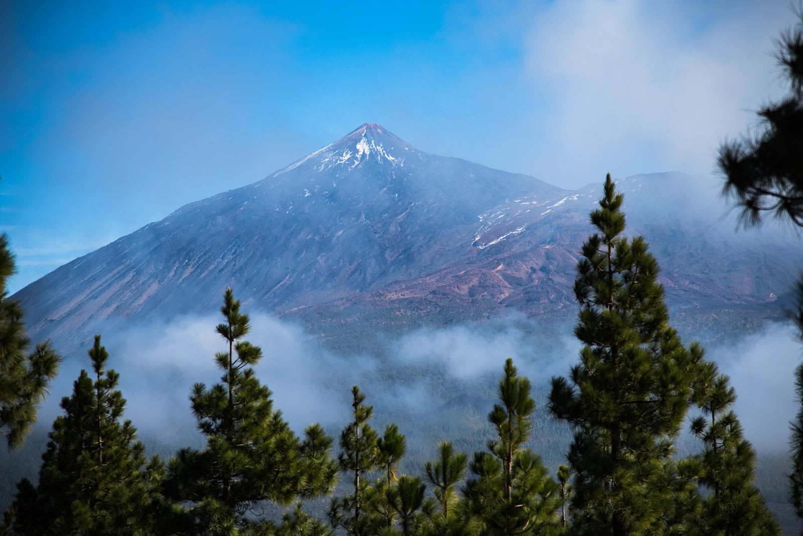 Sustainable Tenerife: A Living Classroom