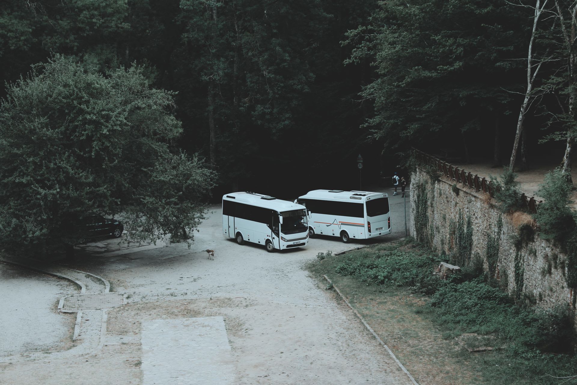 Dos midibuses blancos aparcados en un camino forestal, vistos desde arriba