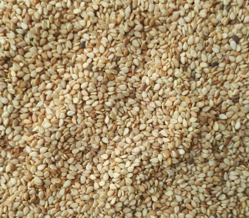 Sesame Seed