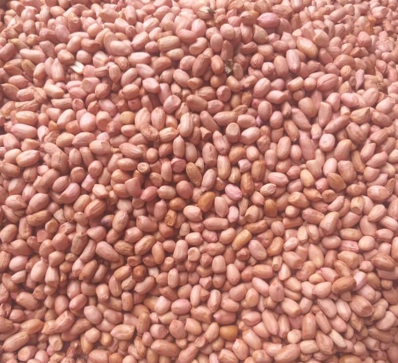 Peanuts