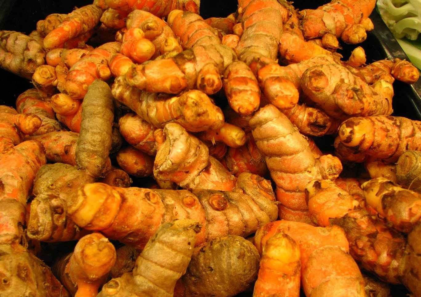 Turmeric