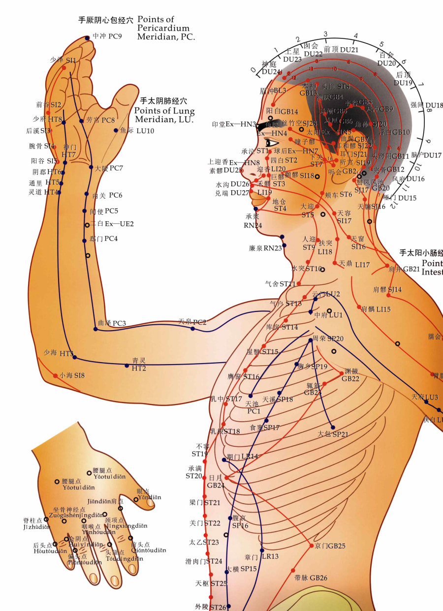 Acupuncture For Skin Overview | Dermveda