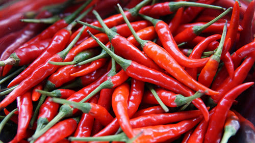 Red chili peppers