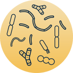 ps-probiotics-icon