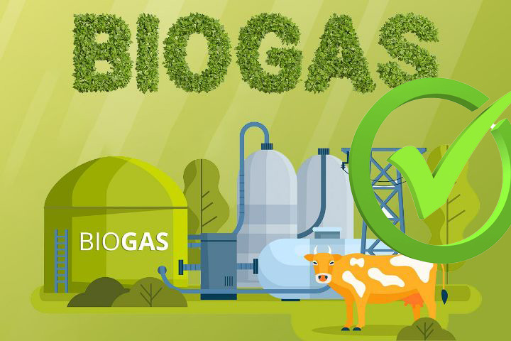 Sensibilisation environnementale