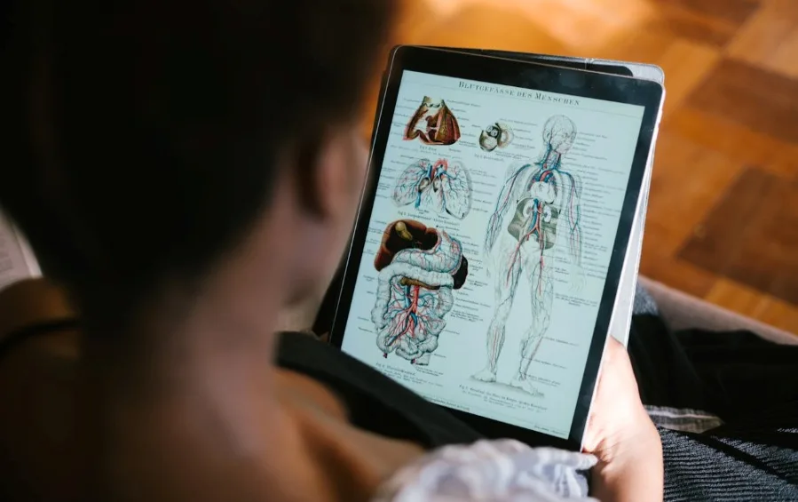 Person Studying Anatomy on an iPad