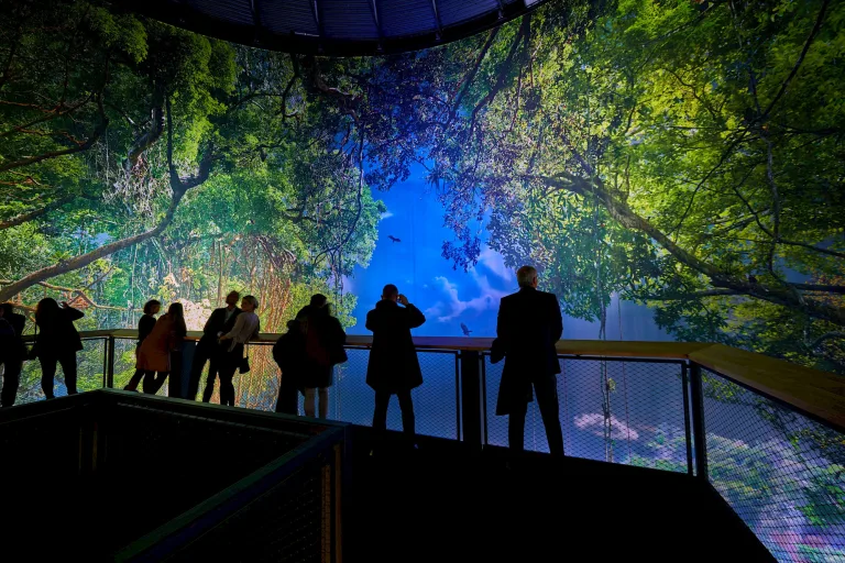 20171117_amazonien_c_christian_wyrwa_0405.2000x0