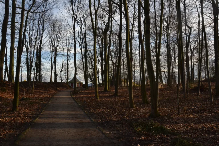 Festung_Königstein12