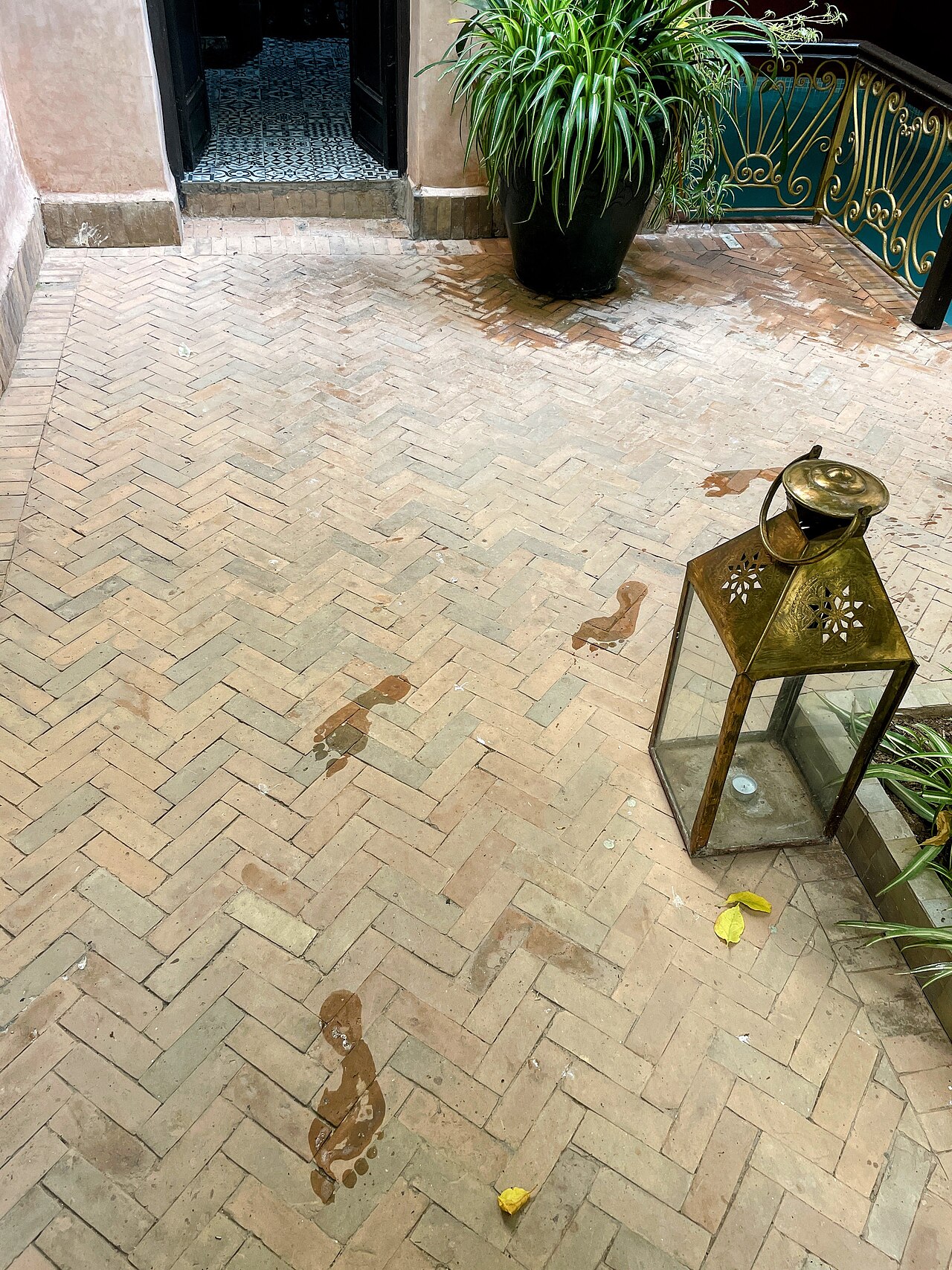 Luxury hotel pool and garden