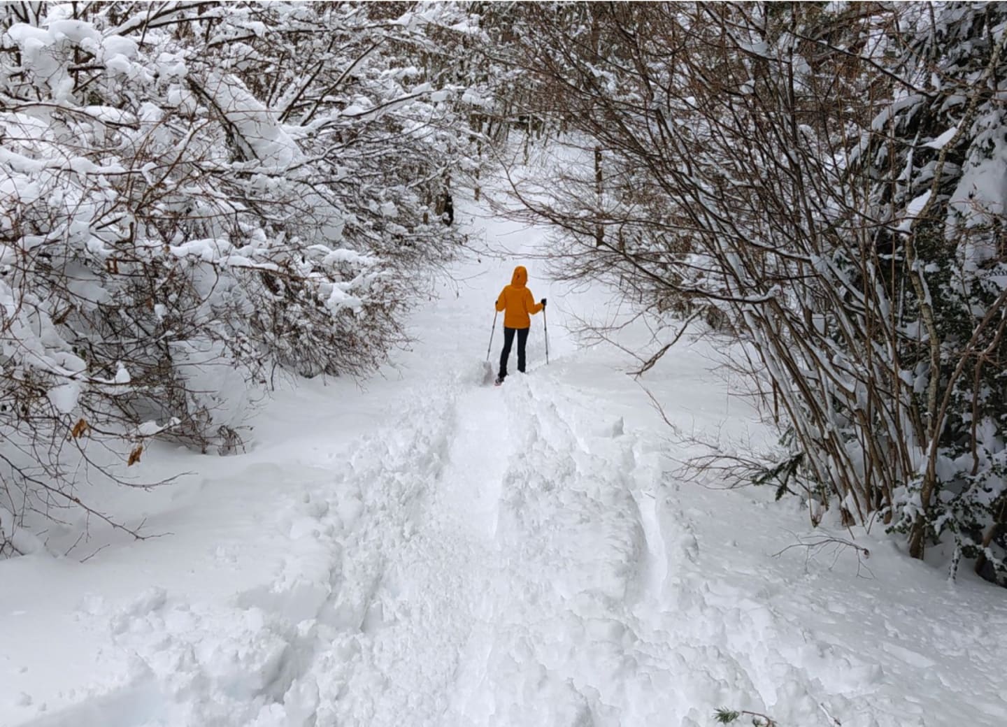 Técnicas básicas para progresar con raquetas de nieve