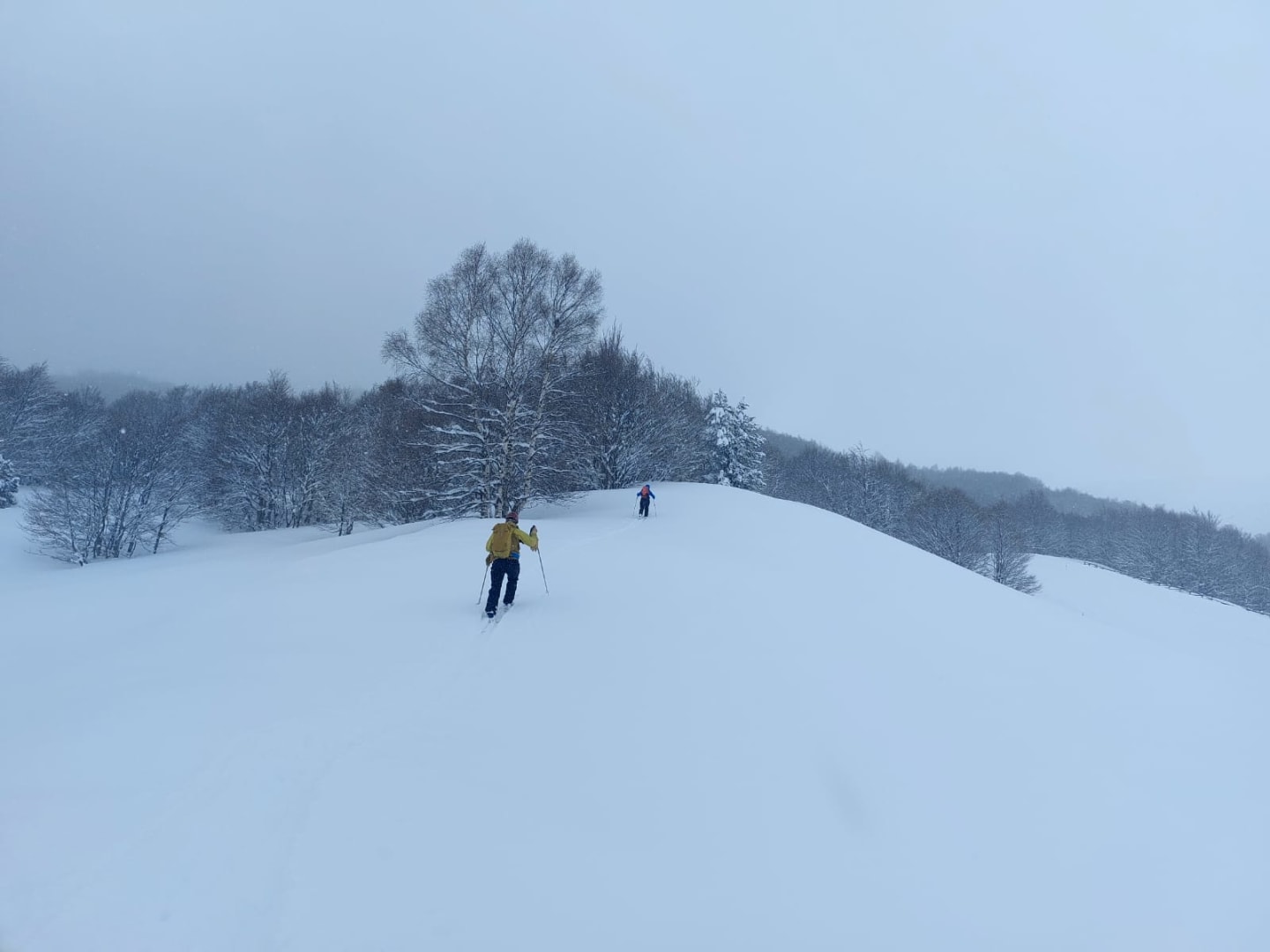 Planificación y estrategia en terreno nevado