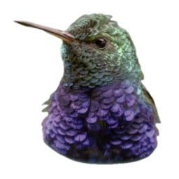 Swiftscope
