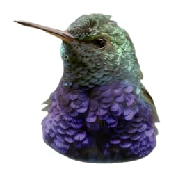 Swiftscope