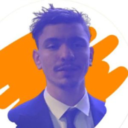Sofiane Hamlaoui