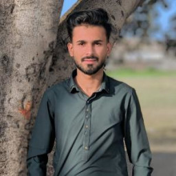Huzaifa M.