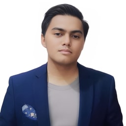 Fariz Harisuddin