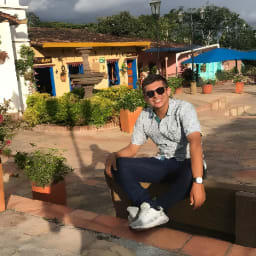 Martin Danilo Almeida Cavanzo