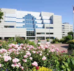 Pulse Heart Institute Echocardiology Services - Tacoma