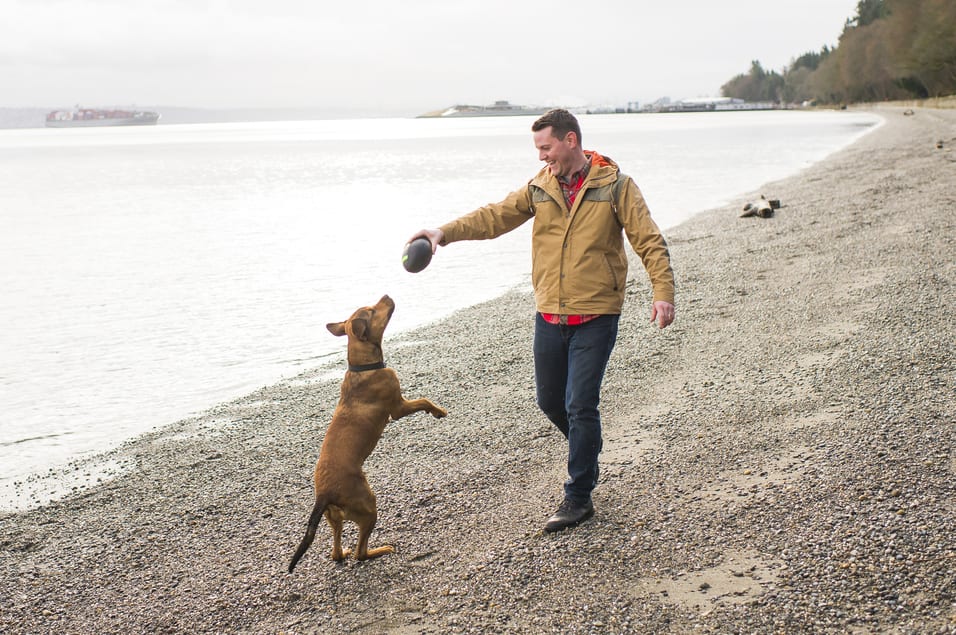 Man and dog playing on a beach