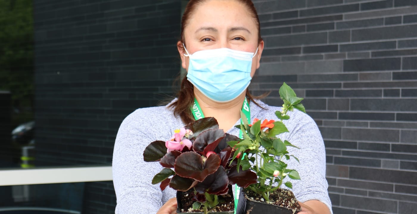 Volunteer holding small potted plants