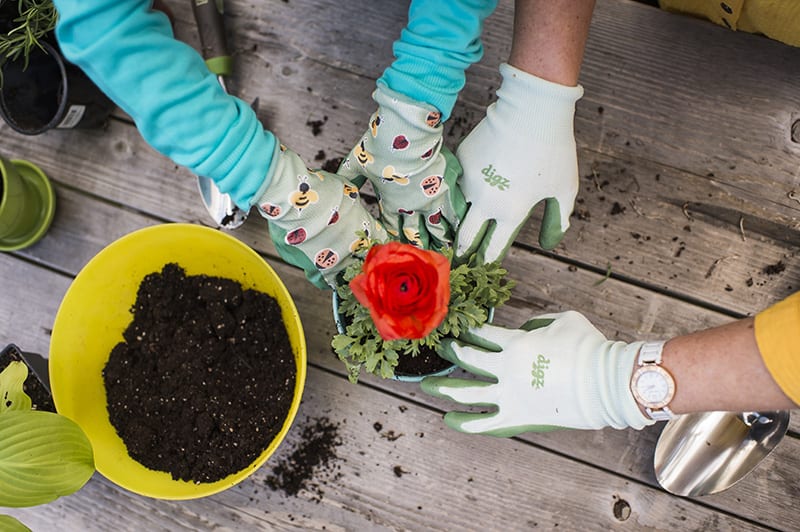 Hands gardening