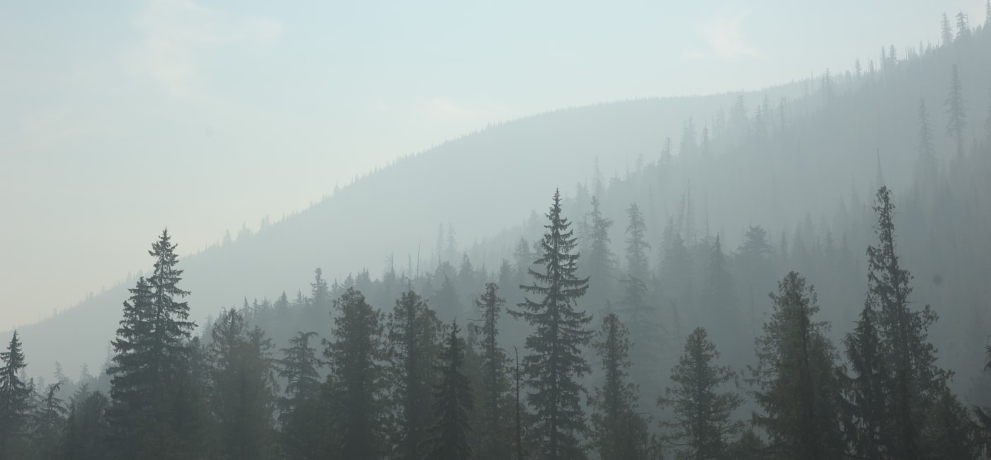 Trees and mountain showing smoky air