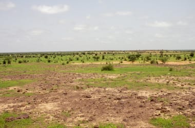 A field in Senegal.