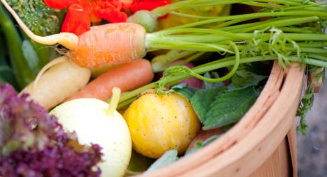 Basket full of vegetables.